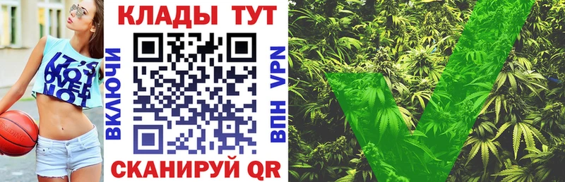 Купить Чернушка COCAIN Каннабис