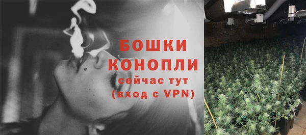 не бодяженный Елабуга