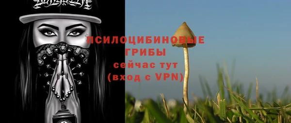apvp Елизово