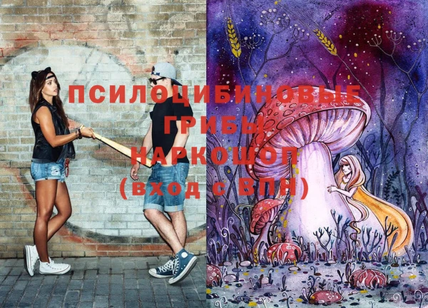 не бодяженный Елабуга
