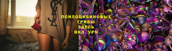 сатива Дмитровск